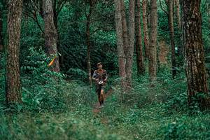 BIB: 
                            <button type="button" onclick="openModal(25237691)" class="btn btn-primary btn-sm float-right btn-popup" data-toggle="modal" data-target=".modal-high-quality">
                        <i class="fas fa-shopping-cart"></i> Add to Cart
                    </button>
                                            <button type="button" onclick="isThisMe(25237691, true)" class="btn btn-success btn-sm float-right btn-popup btn-isme hidden" data-toggle="tooltip" data-placement="bottom" title="นี่คือรูปของคุณใช่ไหม คลิกที่นี่เพื่อเอาเข้าอัลบั้ม">
                        <i class="fas fa-plus"></i> Add to album
                    </button>
                    <button type="button" onclick="isThisMe(25237691, false)" class="btn btn-warning btn-sm float-right btn-popup btn-isnotme hidden">
                        <i class="fas fa-ban"></i> Remove from album
                    </button>